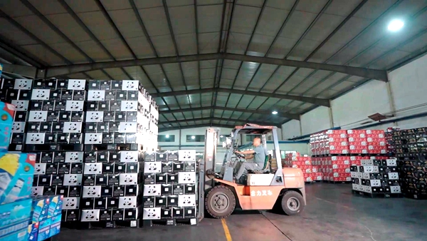 加压奋进 实干争先 “链”就县域经济发展新引擎.jpg